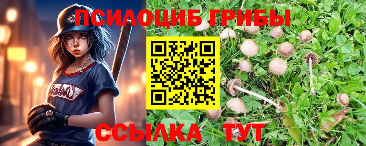 Галлюциногенные грибы прущие грибы  Вход с VPN  Псилоцибиновые грибы Cubensis  Лесосибирск 
